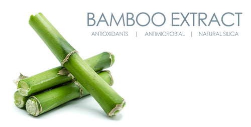 Alphaguy - Bamboo Extract - Antioxidants - Antimicrobial - Natural Silica